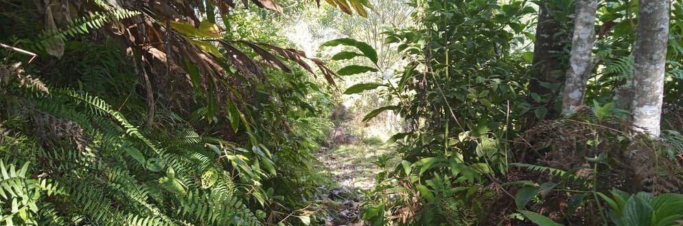 Randonnée Chaac de Mucuchies à Tucani Mesa Julia Venezuela